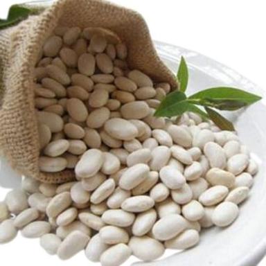 Excellent Quality Pure And Clean Organic Dried Multivitamin Rich White Kidney Bean Grade: Food Grade