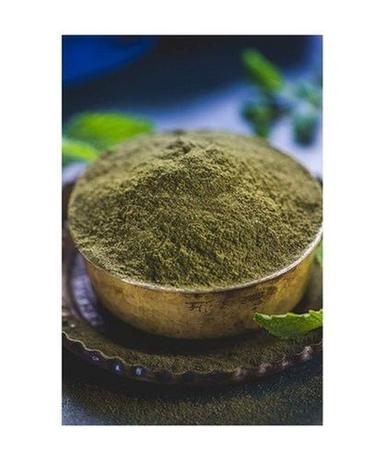 Natural Food Grade Dehydrated Green Pudina Mint Leaf Powder