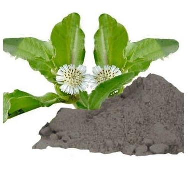 High Quality Herbal And Natural Pure Bhringraj Extract Powder Recommended For: All
