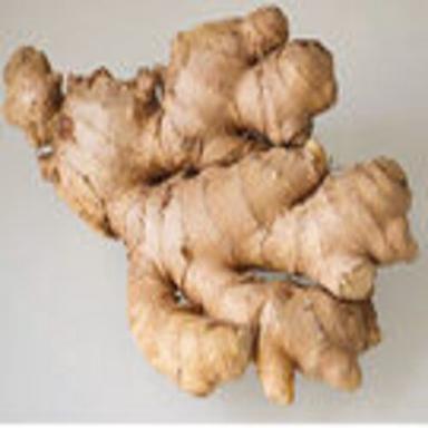 Natural And Healthy Organic Brown Fresh Ginger With Pack Size 50Kg Shelf Life: 1 Months