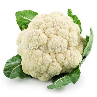 Free From Discoloration After Cooking Floury Texture Organic Fresh Cauliflower Shelf Life: 10-15 Days