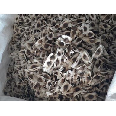 Moringa Oleifera Seed Height: 92 X 60 X 27