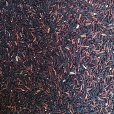 Sikkim Black Rice