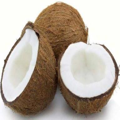 Whole Free From Impurities Good Taste Healthy Brown Organic Fresh Coconut