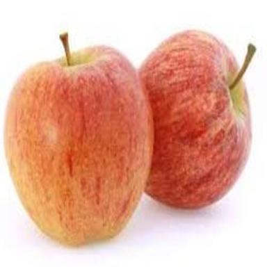 Healthy Nutritious Natural Taste Fssai Certified Organic Red Fresh Gala Apple Size: Standard