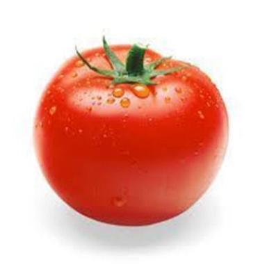 Round & Oval Organic Mild Flavor Maturity 100% Red Fresh Tomato With Pack Size 5-20Kg