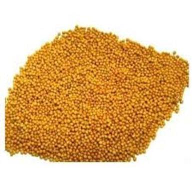 Gmo Natural Taste Dairy Free Low Sodium Healthy Yellow Mustard Seed