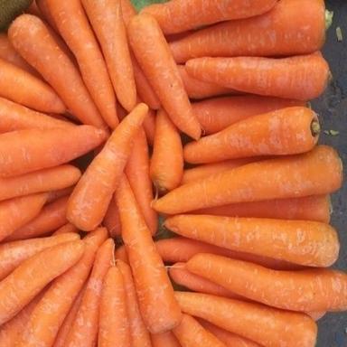Improves Vision Purity 100% Natural Taste Healthy Red Fresh Carrot Shelf Life: 0-5 Days