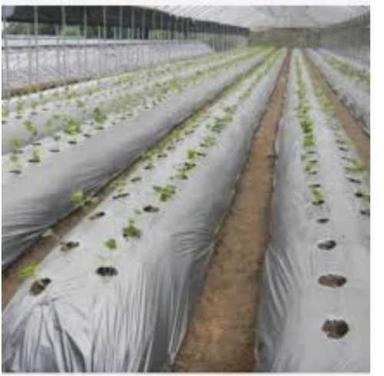 Agriculture Use Mulch Film High Strength