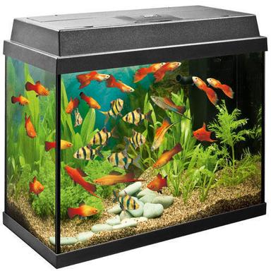 Glass Battery Operated Fish Aquarium For Home, Hotel And Office