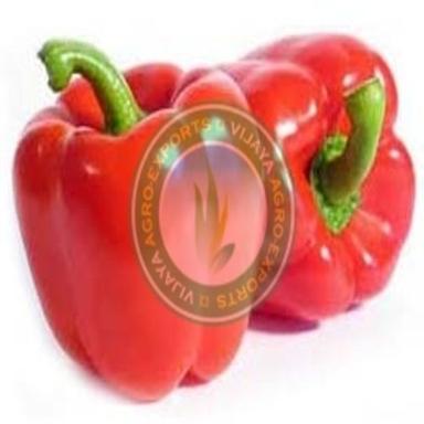 Fssai Certified Healthy Natural Taste Fresh Red Capsicum Shelf Life: 3-5 Days