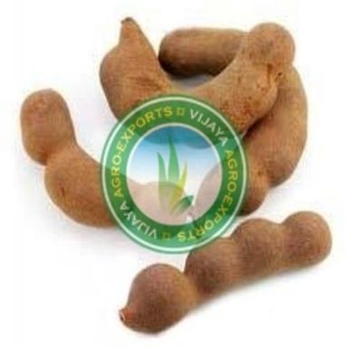 Purity 99% Natural Taste Healthy Dried Brown Tamarind Pods Pack Size: 100-200Gm