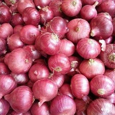 Preserved Red Onion
