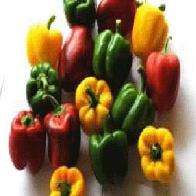 Fssai Certified Healthy Natural Green Red And Yellow Fresh Capsicum Shelf Life: 3-5 Days