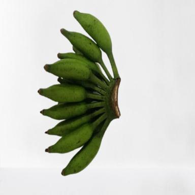 Common Healthy Nutritious Natural Taste Green Fresh Cavendish Banana