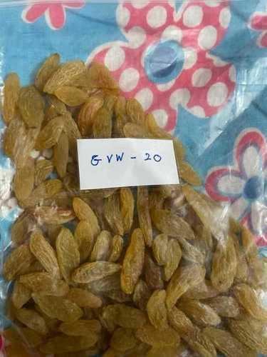 Common 3.1 G/100Gms Protein Golden Raisins Gvw-20