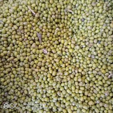 Green Nutritious Whole Mung Pulses