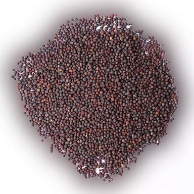 Organic A Grade Black Mustard Seed Loaded With Antioxidant Indian Clean Packed With Special Mineral Selenium