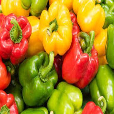 Healthy Natural Taste Fresh Red Green and Yellow Capsicum