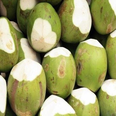 सामान्य स्वस्थ और प्राकृतिक अच्छा स्वाद वाला हरा कोमल नारियल 