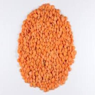 Healthy To Eat High In Protein Natural Dried Organic Red Lentils Grain Size: Standard
