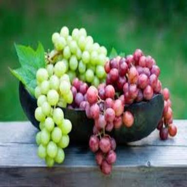 Green Healthy Natural Taste Maturity 100% Organic Fresh Grapes