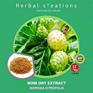 Herbal Product Organic Green Morinda Citrifolia Noni Extract Powder