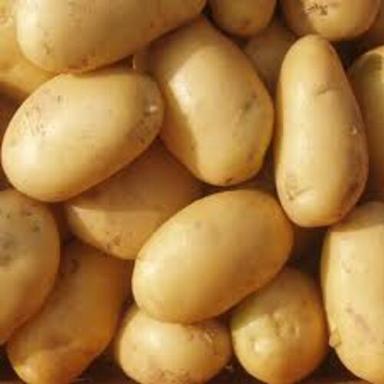 Round & Oval Potassium Per 421Mg 12% Maturity 100% Healthy Organic Brown Fresh Potato