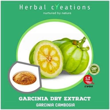 Weight Loss Garcinia Cambogia Vilayati Imli Dried Powder Ingredients: Herbal Extract