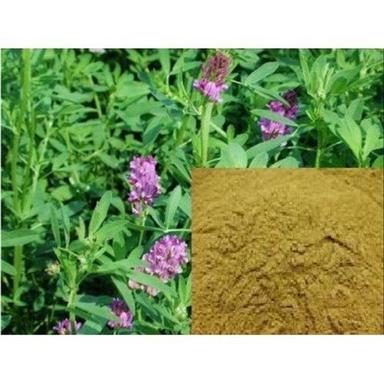 Herbal Alfalfa Grass Extract Dried Powder Recommended For: All