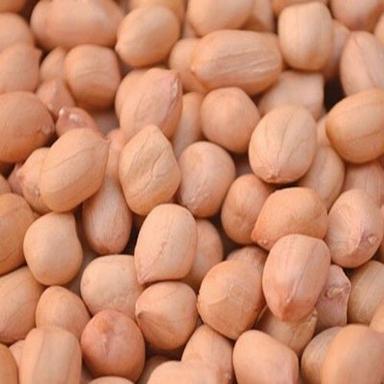 Common Natural Fine Taste Long Shelf Life Healthy Dried Java Peanuts