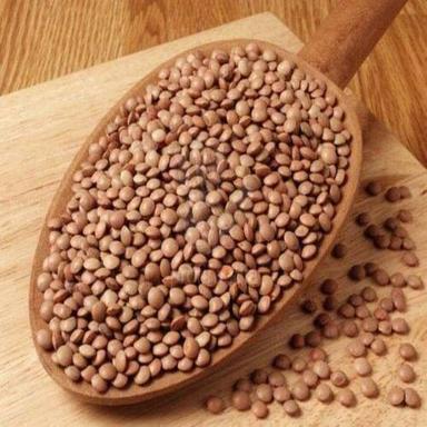 High Protein Healthy Natural Dried Organic Masoor Dal Grain Size: Standard