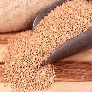 Protein 12% Fat 2.5 G Healthy Dried Organic Brown Wheat Seeds Grade: Food Grade