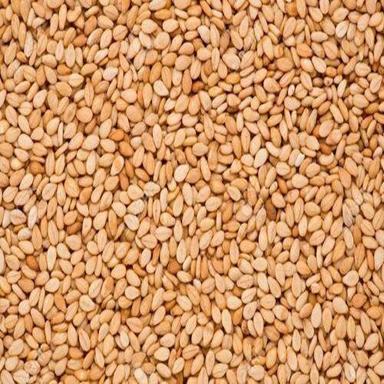 Natural Taste Healthy Purity 99.98% Organic Brown Roasted Sesame Seeds Admixture (%): 1% Maximum