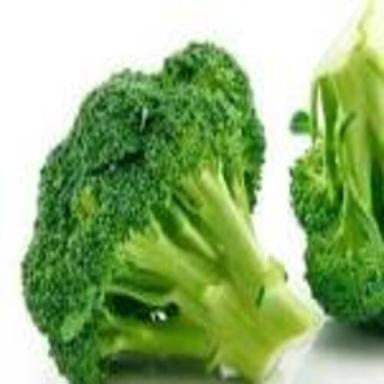 Fresh Taste High in Protein Maturity 100% Organic Green Fresh Broccoli