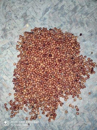Premium Quality Organic Grams, Brown Color (Packaging Size 50 Kg) Grade: A Grade