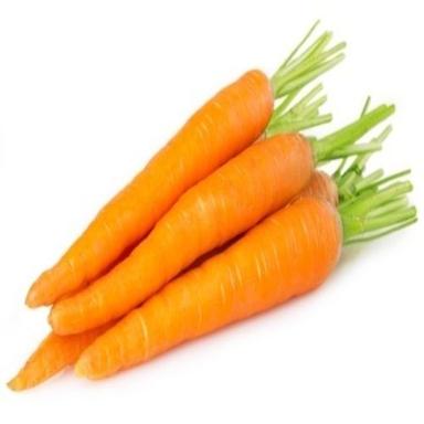 Natural Good For Health Organic Fresh Carrot with Pack Size 10 - 20KG