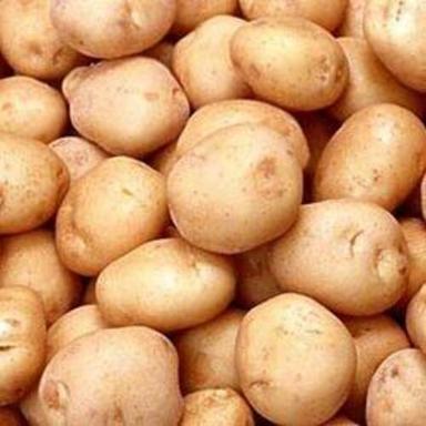 Round & Oval Natural Taste Healthy Mild Flavor Brown Fresh Potato