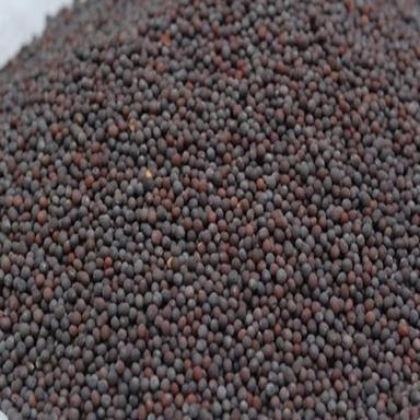 Organic Loaded With Selenium And Rich In Antioxidant Indian Clean Sorted Quality A Grade Black Mustard Seed 