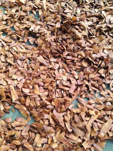 Anti Fungal MAHOGANY SEED