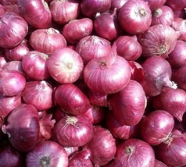 Round & Oval High Quality Natural Taste Healthy Fresh Red Onion Packed In Net Bag