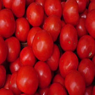 Round & Oval Pure Healthy Natural Taste Organic Red Fresh Tomato Packed In Plastic Crates