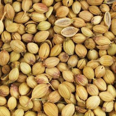 Pure Taste Long Shelf Life Healthy Dried Coriander Seeds Grade: Food Grade