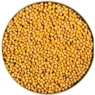 Filled With Natural Oil Super Quality Sorted Indian Organic Yellow Mustard Seeds Grade: A Grade