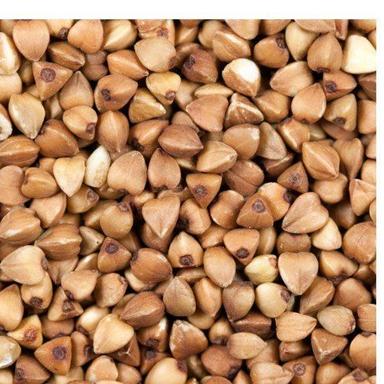 Brown Highly Nutritious Whole A Grade Quality Rich In Fiber Buckwheat Grain Seed