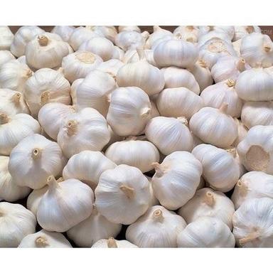 Natural Fresh Garlic For Cooking Preserving Compound: Cool & Dry Places