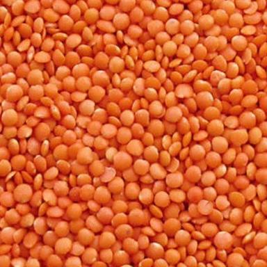 No Artificial Color Added Dried Healthy Organic Red Masoor Dal Grain Size: Standard