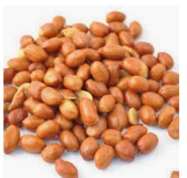Organic Dried Brown Peanut Nuts