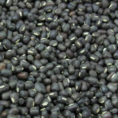 High In Protein Healthy Dried Organic Whole Black Urad Dal Grain Size: Standard