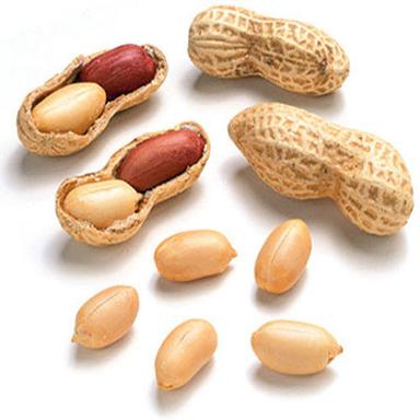 Protein 26G 52% Total Fat 49G 75% Fine Natural Taste Healthy Groundnut Kernels Shelf Life: 3 Months